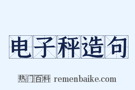 电子秤造句是什么意思的图片